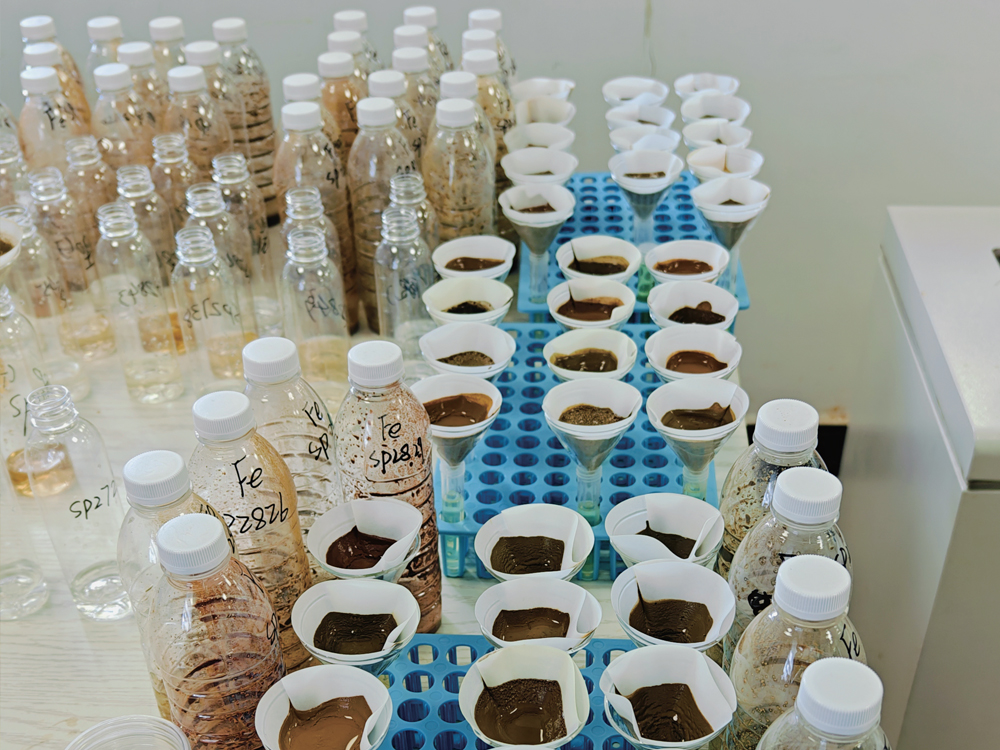 2024年广西第三次全国土壤普查样品检测服务项目